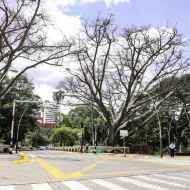 Cali confinada 02