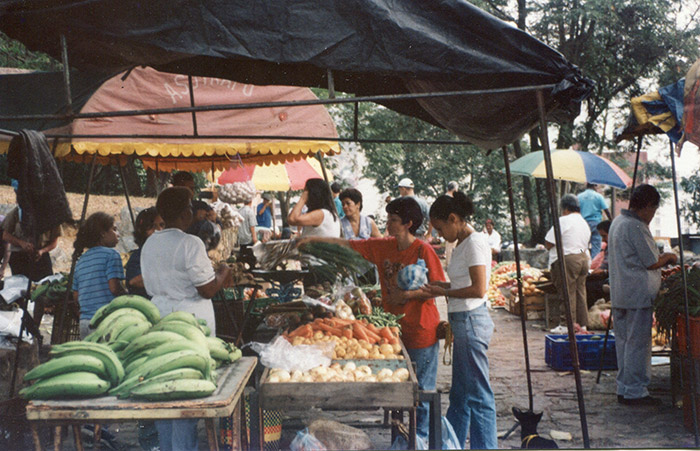 Memoria de Los Parques # 1